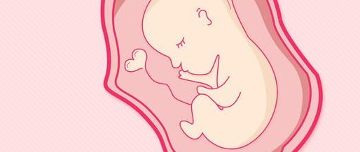 厦门首先医院试管婴儿多少钱？附费用明细