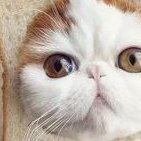 做三代试管总失败是怎么回事？来听听专家怎么说！