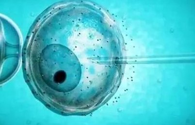 福建泉州市可以做试管婴儿吗？哪家医院成功率比较高？